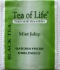 Tea of Life Black Tea Mint Julep - a