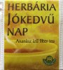 Herbria Jkedv Nap Anansz z filter tea - a