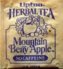 Lipton Retro Herbal Tea Mountain Berry Apple - a