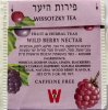 Wissotzky Wild Berry Nectar - a