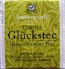 Sonnentor Grner Glckstee Green Fortune Tea - b
