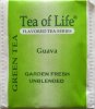 Tea of Life Green Tea Guava - a