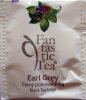 Biogena P Fantastic Tea 3 Earl Grey - a