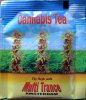 Multi Trance Amsterdam Cannabis Tea - a