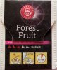 Teekanne Forest Fruit - a