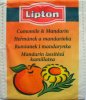 Lipton P Hemnek a mandarinka - a