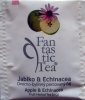 Biogena P Fantastic Tea 3 Jablko a Echinacea - leskl