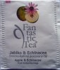 Biogena P Fantastic Tea 3 Jablko a Echinacea - matn