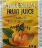 Millenium Fruit Juice Mandarinka - b