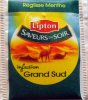 Lipton P Grand Sud Saveurs Du Soir Rglisse - Menthe - b