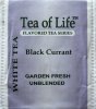 Tea of Life White Tea Black Currant - a