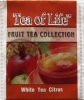 Tea of Life Fruit Tea Collection White Tea Citrus - a