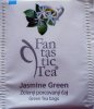 Biogena P Fantastic Tea 3 Jasmine Green - leskl