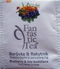 Biogena P Fantastic Tea 3 Borvka a rakytnk - leskl