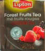 Lipton F ed Forest Fruits Tea - c
