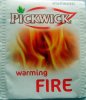 Pickwick 2 Elements Warming Fire - a