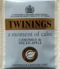 Twinings P a moment of calm Camomile & Spiced Apple - a