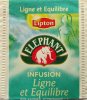 Lipton Elephant P Infusion Ligne & quilibre - d