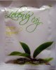Pangea Tea Zelen aj 100% natural - a