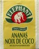Elephant Infusion Ananas Noix de Coco - a