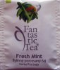 Biogena P Fantastic Tea 3 Fresh Mint - leskl