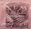 Numi White Rose Velvet Garden - a