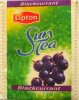 Lipton P Sun Tea Blackcurrant - a