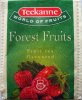 Teekanne ADH Forest Fruits - a