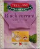 Teekanne Black Currant with lemon - b