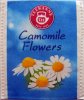 Teekanne Camomile Flowers - a