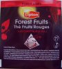 Lipton F Flavoured black tea Forest Fruits - a